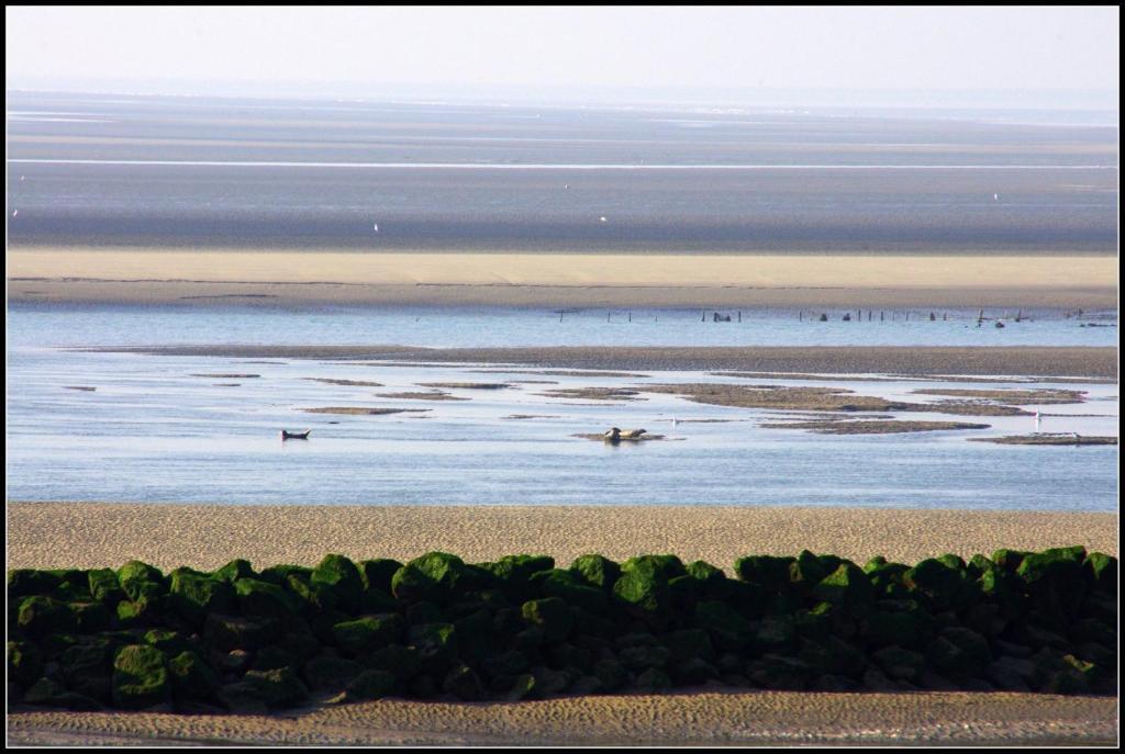 Logis Hotel & Restaurant "Au Gre Du Vent" Berck Екстериор снимка